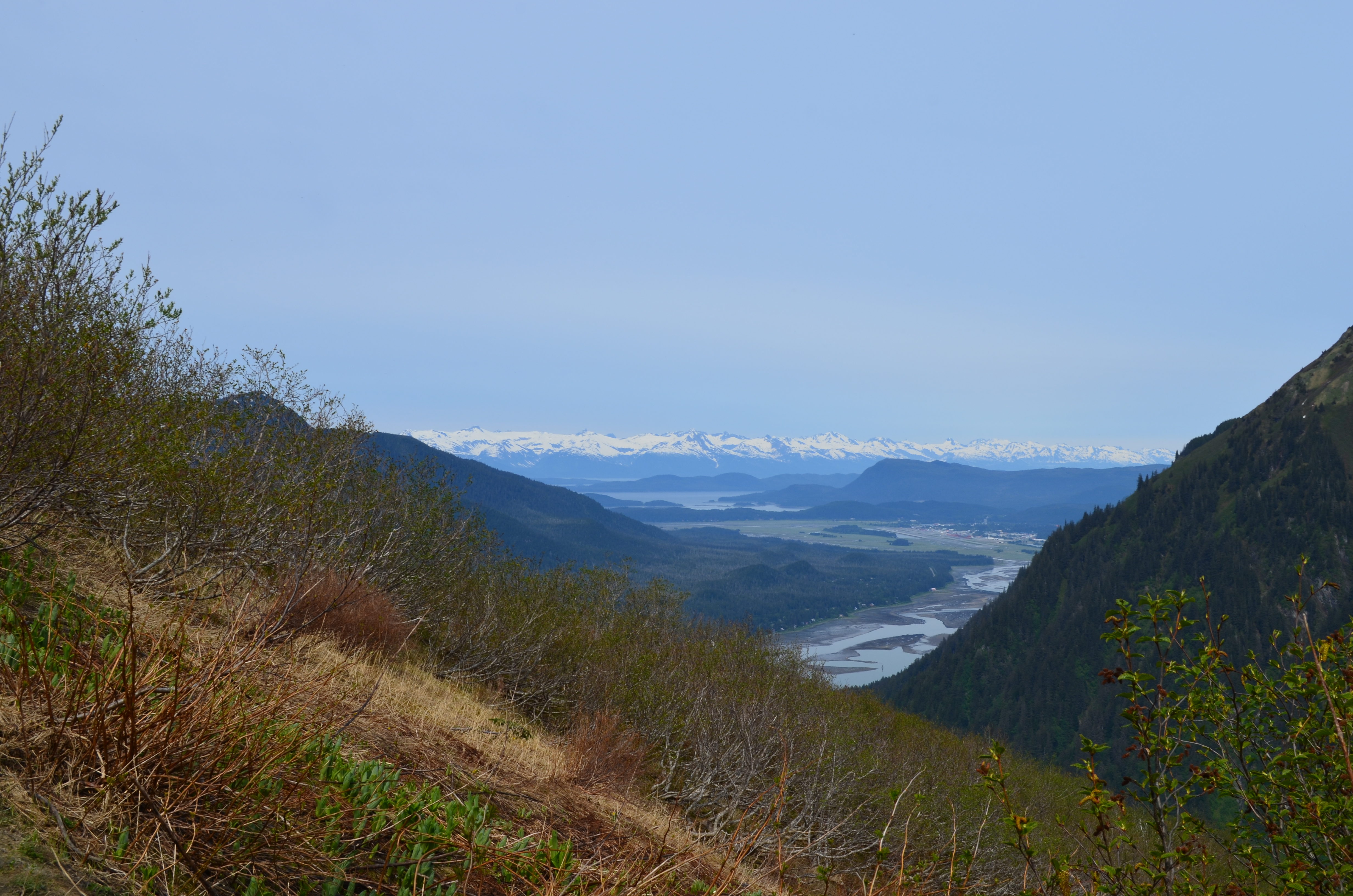 ./2017/08 - Alaska Cruise/08 - Juneau/DSC_0923.JPG